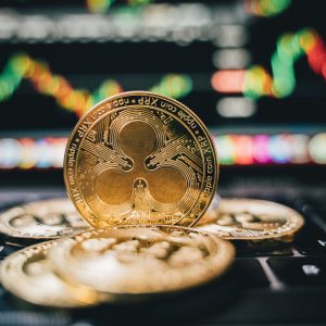 Golden Ripple XRP coins on laptop, symbolizing cryptocurrency trends and online trading.